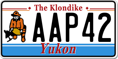 YT license plate AAP42