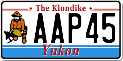 YT license plate AAP45