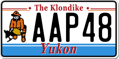 YT license plate AAP48