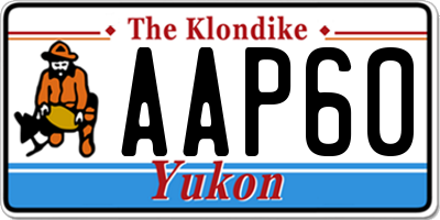 YT license plate AAP60