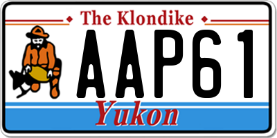 YT license plate AAP61