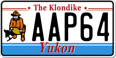 YT license plate AAP64