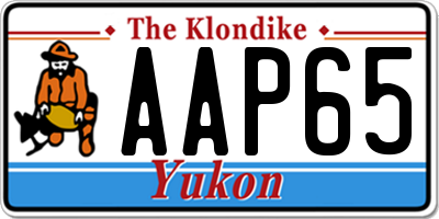 YT license plate AAP65