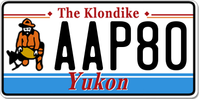 YT license plate AAP80