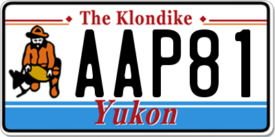 YT license plate AAP81