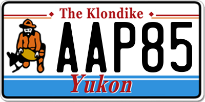 YT license plate AAP85