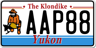 YT license plate AAP88