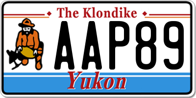 YT license plate AAP89