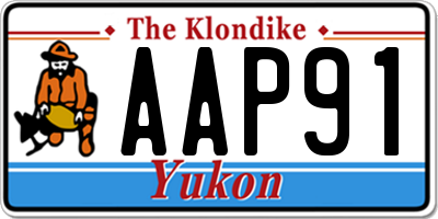 YT license plate AAP91