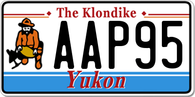 YT license plate AAP95