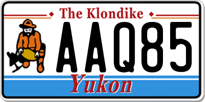 YT license plate AAQ85