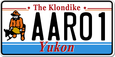 YT license plate AAR01