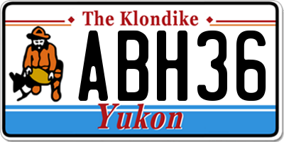 YT license plate ABH36