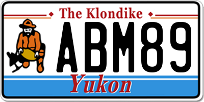 YT license plate ABM89
