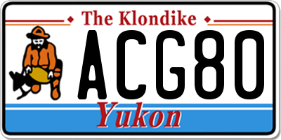 YT license plate ACG80