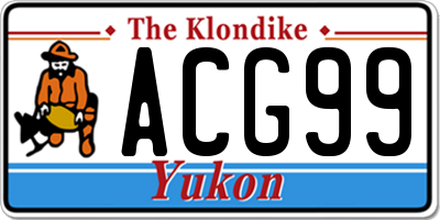 YT license plate ACG99