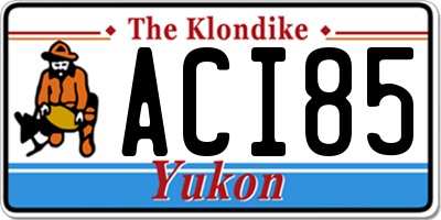 YT license plate ACI85