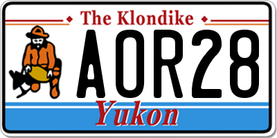 YT license plate AOR28
