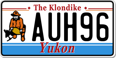 YT license plate AUH96