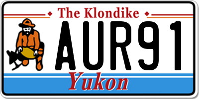 YT license plate AUR91