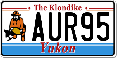 YT license plate AUR95