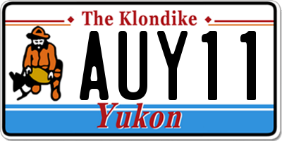 YT license plate AUY11