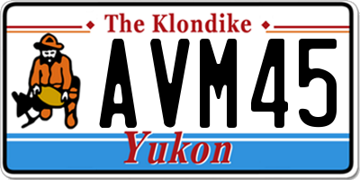 YT license plate AVM45