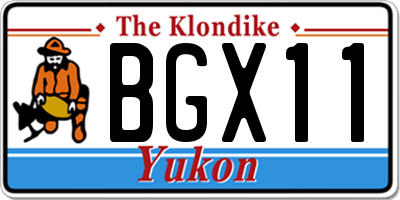 YT license plate BGX11