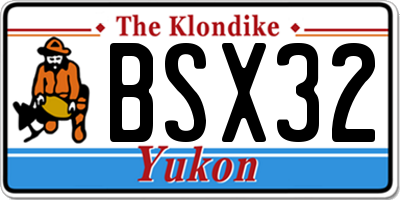 YT license plate BSX32