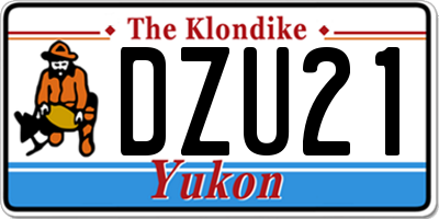 YT license plate DZU21