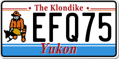 YT license plate EFQ75