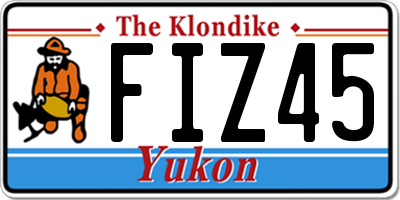 YT license plate FIZ45