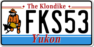 YT license plate FKS53